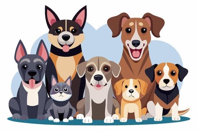 -dresaj canin ieftin