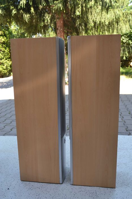 Boxe Canton LE 170
