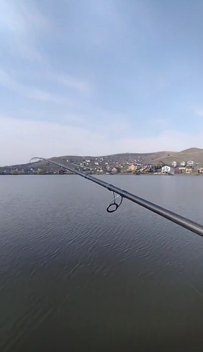 Lanseta și mulineta de feeder Pro FL