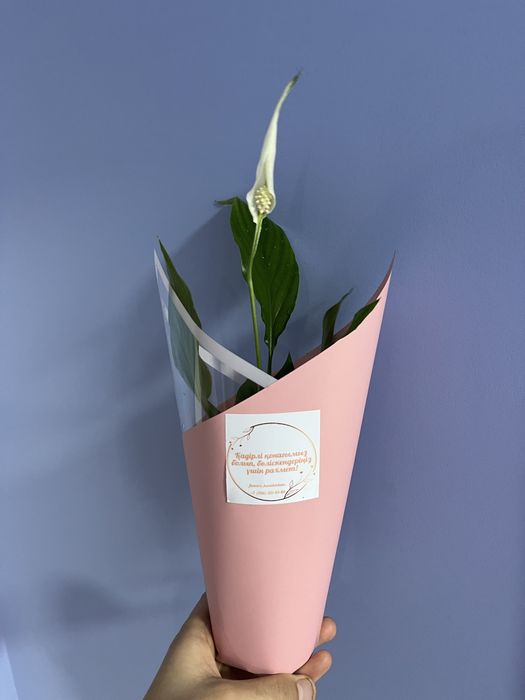 Тойбастар Бонбоньерка 8 март