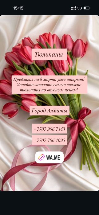 Свежие тюльпаны к 8 марта