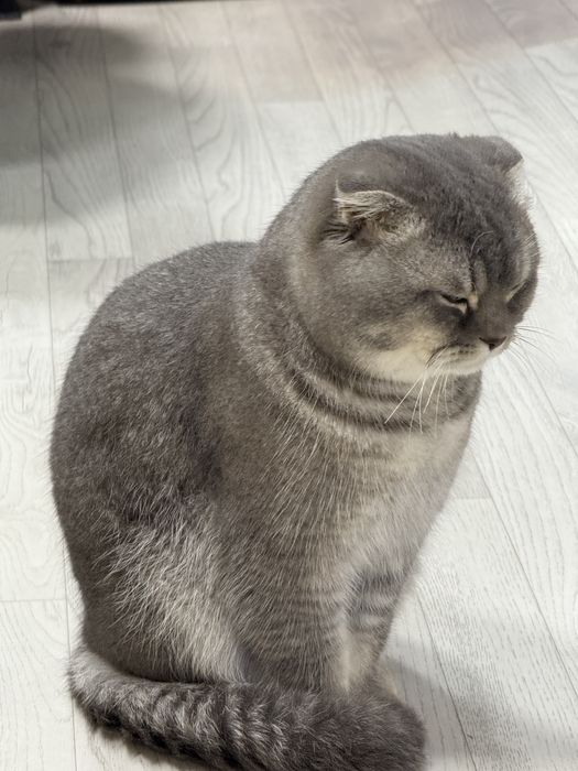 Куштиришга огил бола пародали бор кими кизиктрса смс ёзила