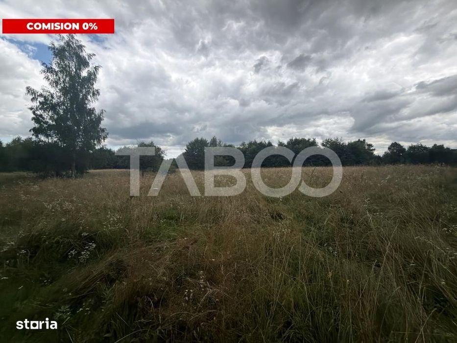 Teren extravilan cu utilitat 6000 mp langa Rau pe Valea Dejaniului