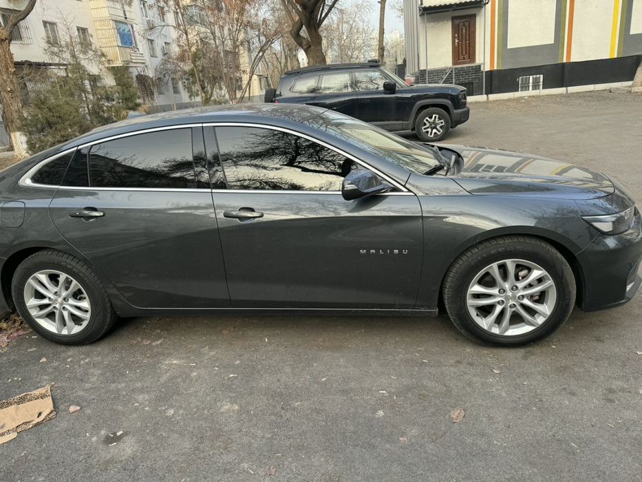 MALUBI 2  kraska toza 2018