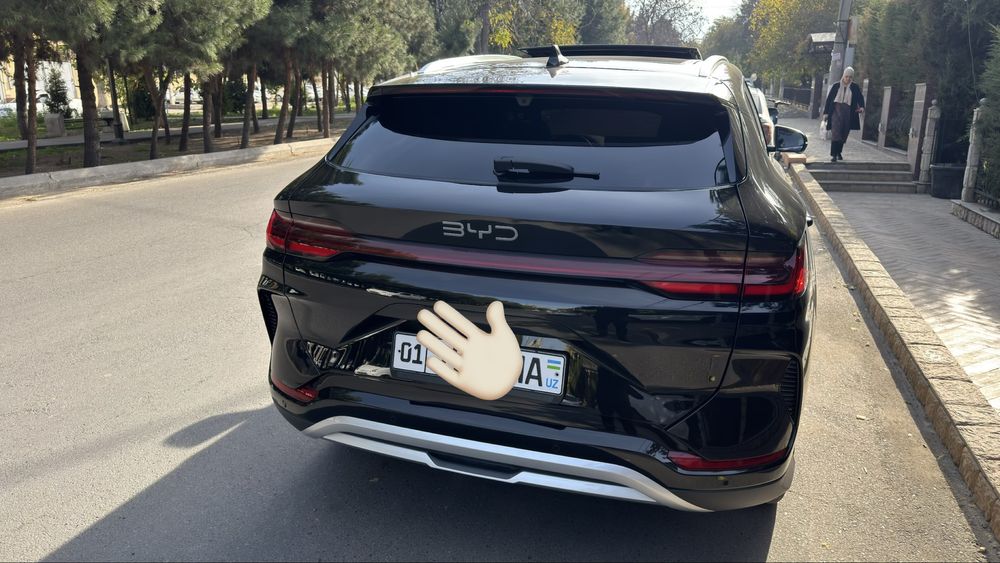 Byd champion smart 2025