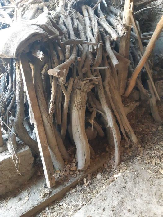 kelishilgan narxda o'tin sotiladi