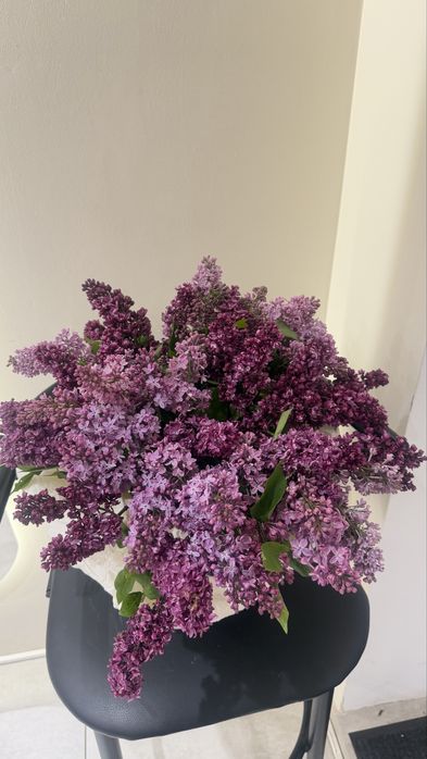 Корзина с сиренью