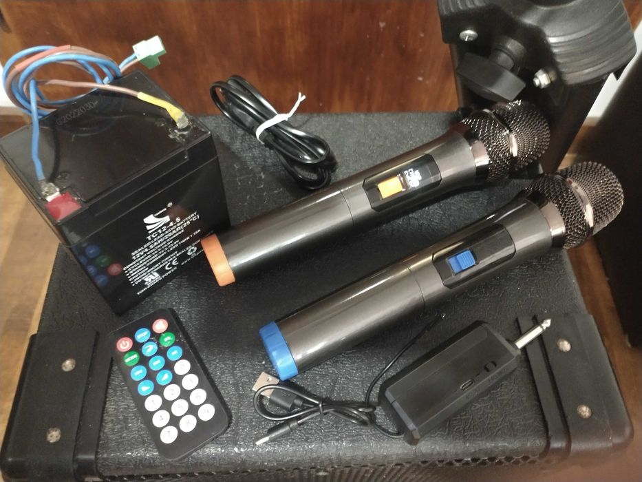 Pro Boxe Activ 300W bluetooth/2 Microfoane, Accumulator 12 hr