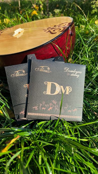 Домбыра оптом чехол для домбра и гитара