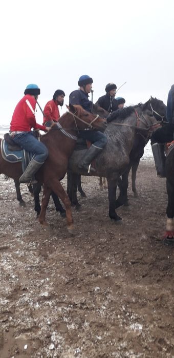 Ат сатылады 4жасар