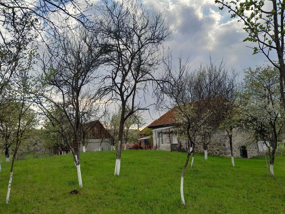 Casă + teren de vânzare în Brad, Hunedoara – proprietar