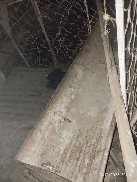 Oxir sotiladi kelishamis narxini kimga kerak bulsa tel qilinv