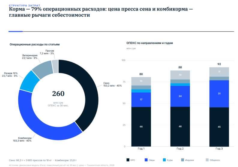Бизнес-план, ТЭО, финансовая модель для банка и инвестора