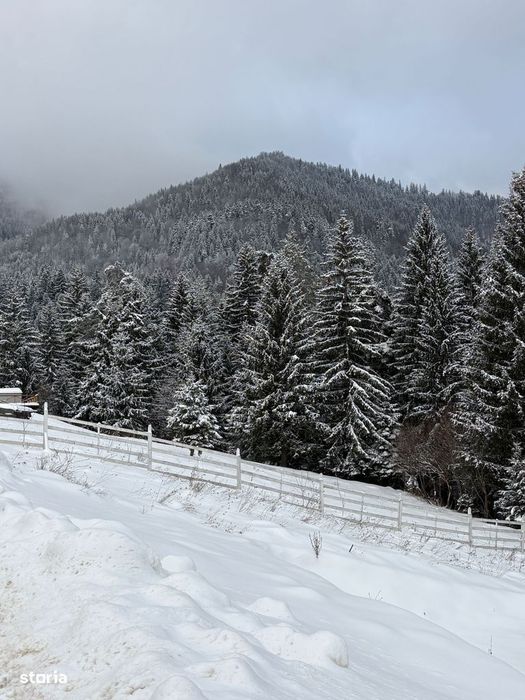 Teren de vanzare Sacele