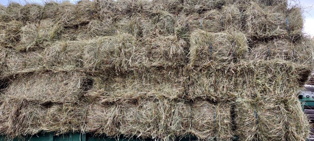 Baloți de fân,dreptunghiular,rotund! Baloți de lucernă!