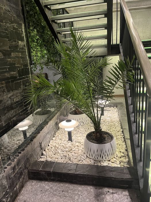 Флорист/цветы/gul/gulchi/теплица/услуги флориста/gul parvarishi