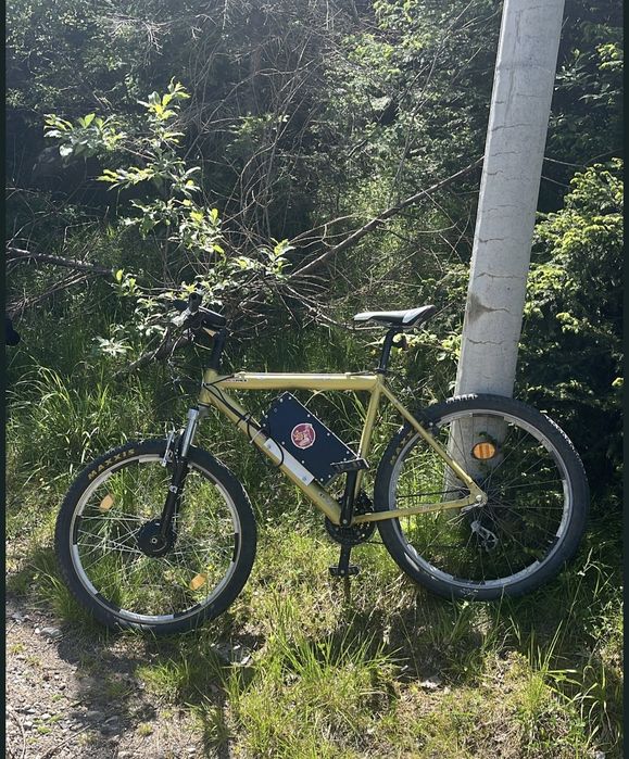 Bicicleta electrica