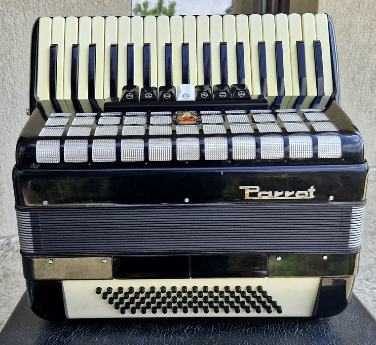 Acordeon Parrot cu 80 bași negru