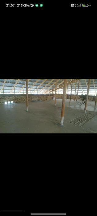 Penalomboz,tombosti ,lomboz ломбоз, томшувок томбости,черно потолок