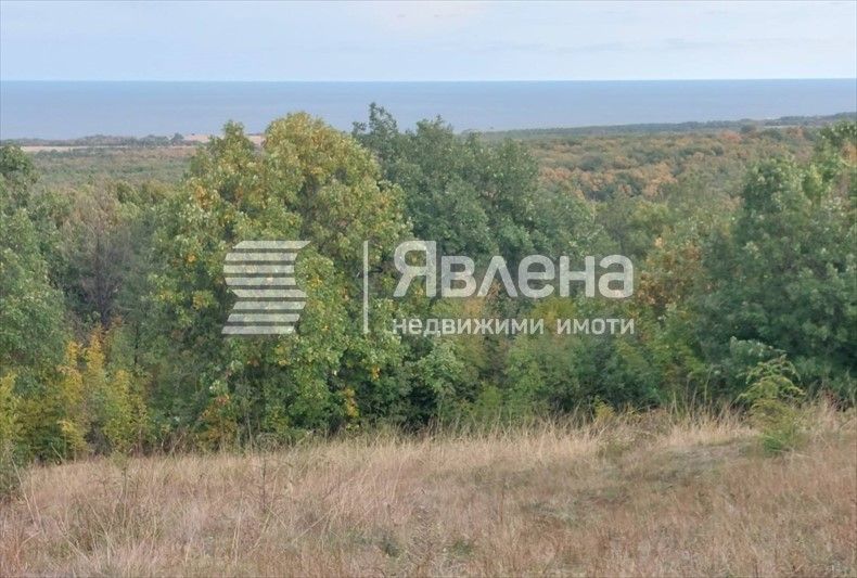 Продава се Земеделски имот в Царево -  кв.м за 2 €/дка - Снимка #1