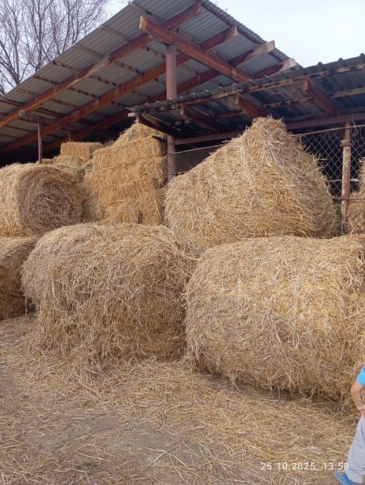Продам сено самовывоз