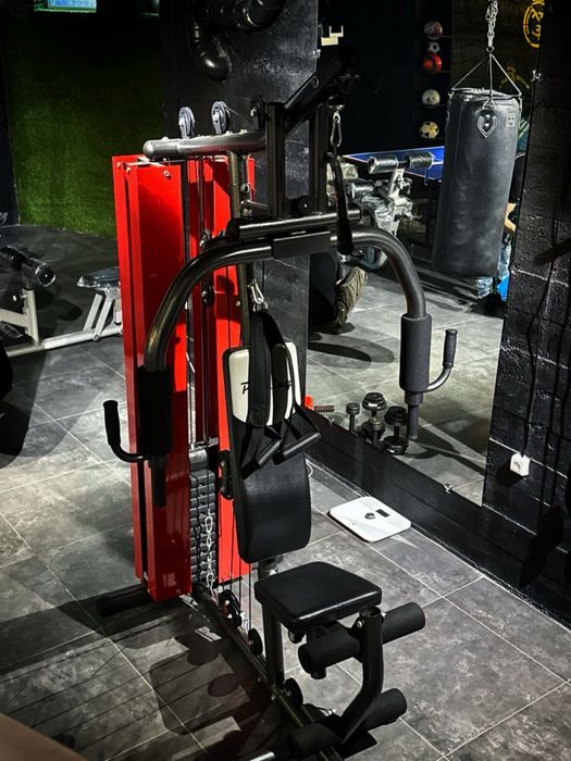 Многофункциональный тренажер-Proking