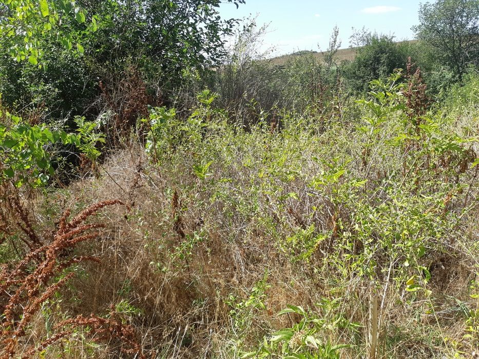 Продава се Къща в Стара Загора, Самара 1 - 60 кв.м за 58 €/кв.м - Снимка #14