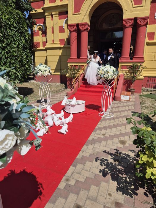Porumbei evenimente / nunta / botez