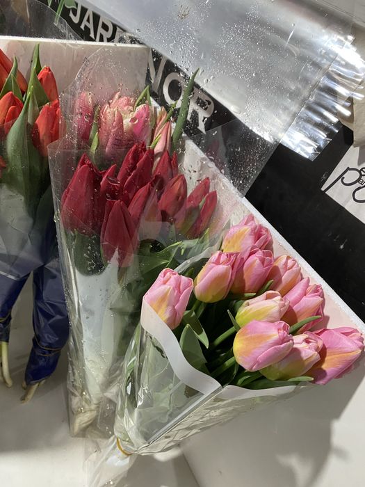 Продам Тюльпаны разных сортов!