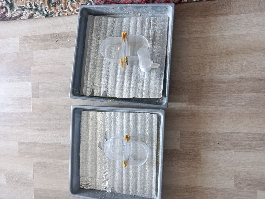 Qushlar uchun uy sotiladi