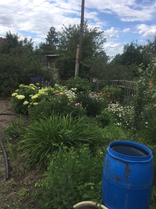 Продам дачу в СО Садовод