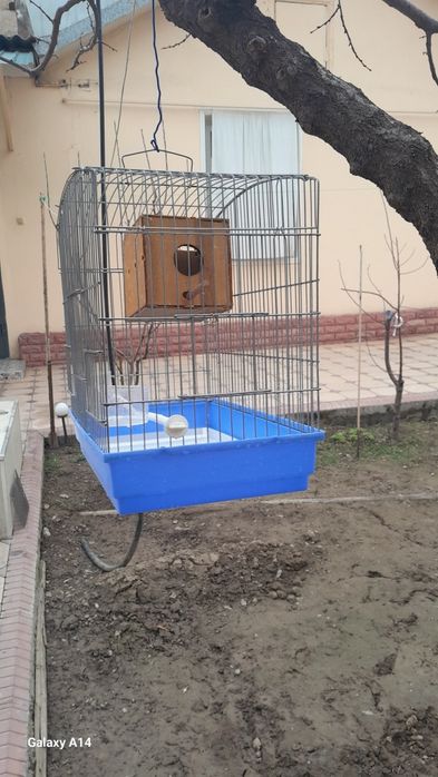 БООООЛЛЛЬШАААЯЯ Клетка для попугаи и т.д