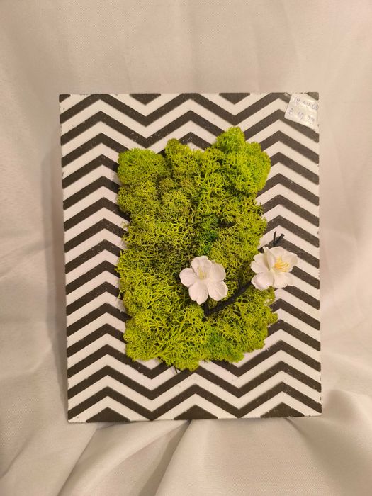 Картина от скандинавски мъх