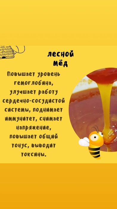 Катон Қарағайдың меды