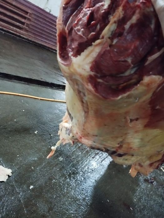 Қасапшы қасапшы қасапшы