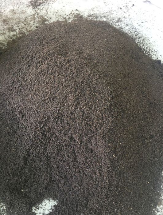 Gomus sotiladi tozza