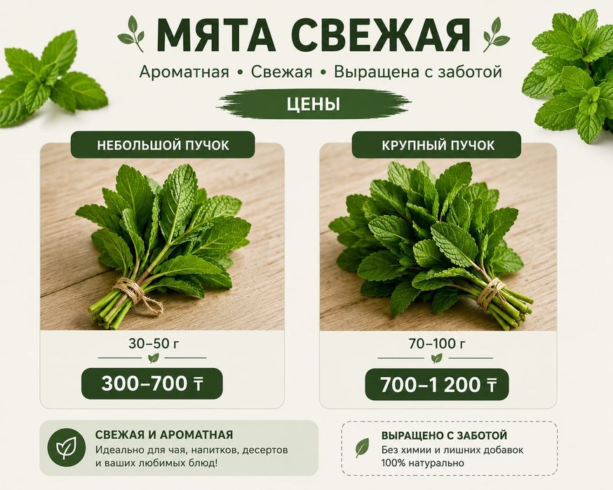 Свежая Мята Милиса со своего огорода