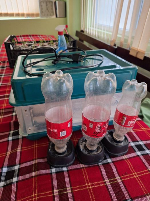 Автоматичен инкубатор