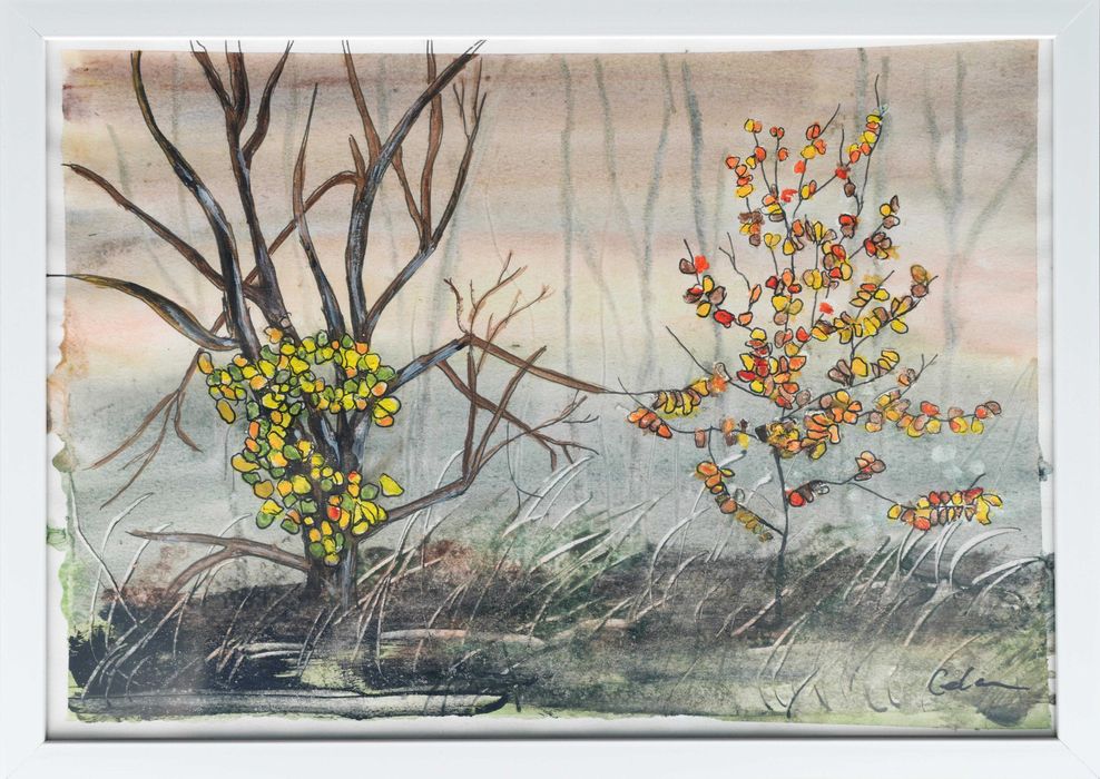 Cadouri picturi acuarela