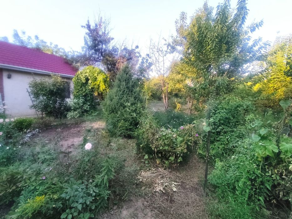 Продам дом 15 соток