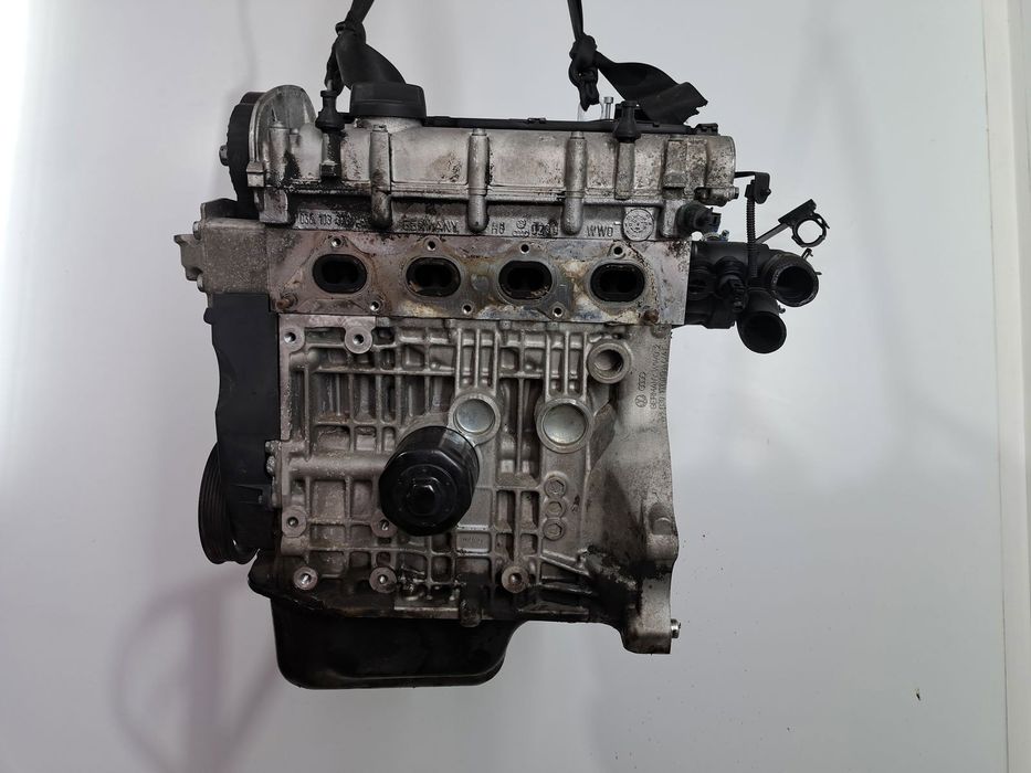 Motor complet ambielat  Volkswagen Polo (9N) [Fabr 2001-2008] BKY 1.4