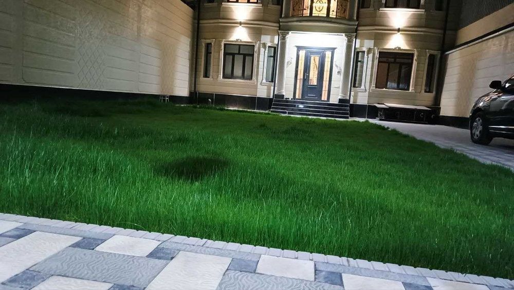 Газон посевной Рулонный газон