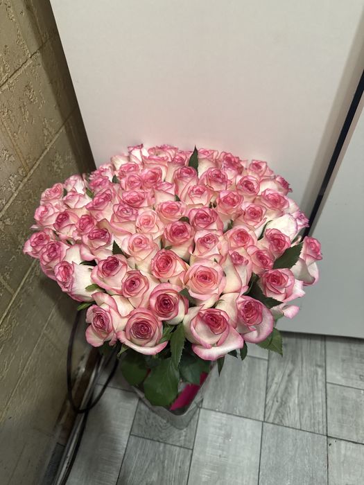 срочно 61роза сатылады