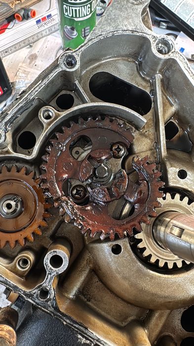 Linhai 300 Anniversary