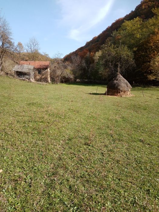 Casă cu teren în comuna Zam, sat Godinești