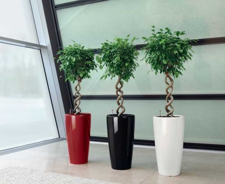 Цветочные горшки