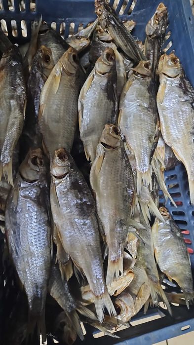 Вяленная вобла,чехонь