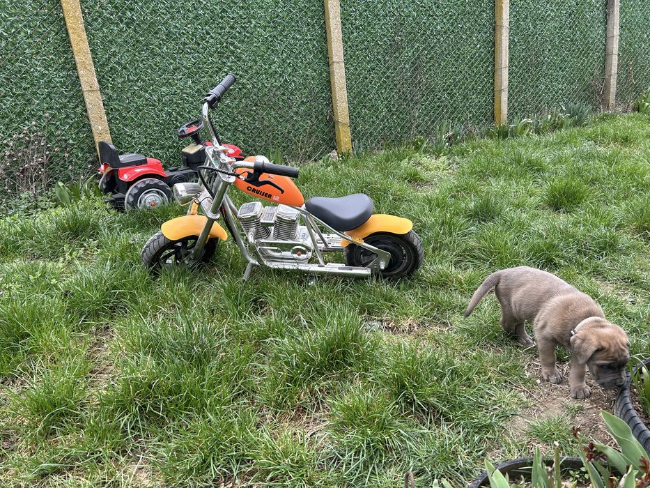 Детски Електрически чопър