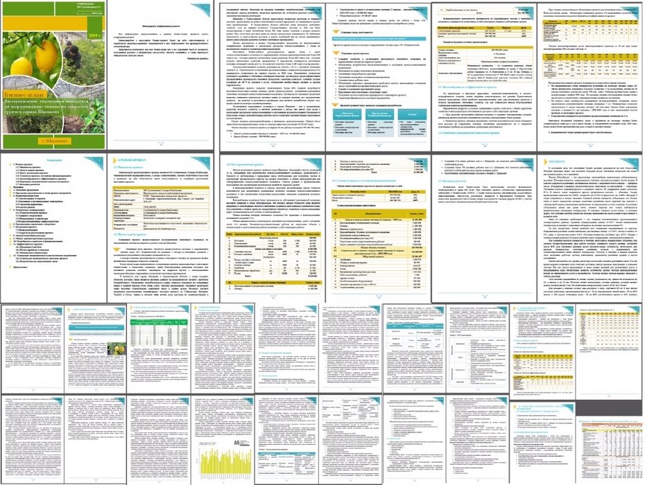 Бизнес план, ТЭО разработка - 35 тыс. тг