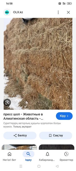 Техуши прес шоп 1200